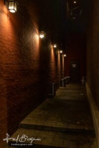 Back Alley Lights