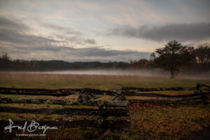 Cades Cove Misty Field