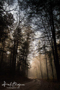 Cades Cove Road