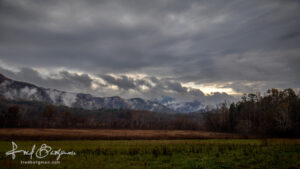 Cades Cove Vista