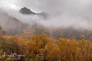 Smoky Mountains Fall Colors