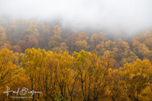 Smoky Mountains Fall Colors II