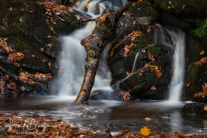 Spruce Flats Falls